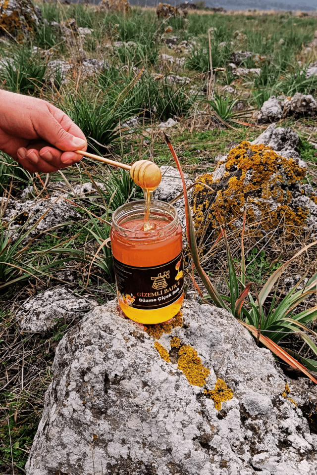 SÜZME ÇİÇEK BALI