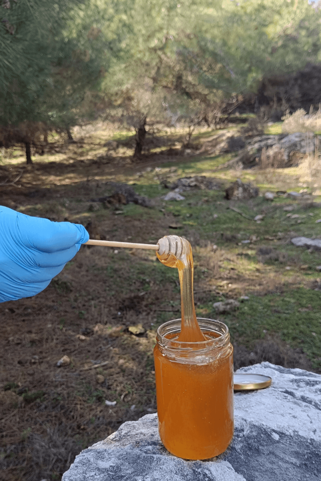 KEKİK-GEVEN VE ÇİÇEK BALI