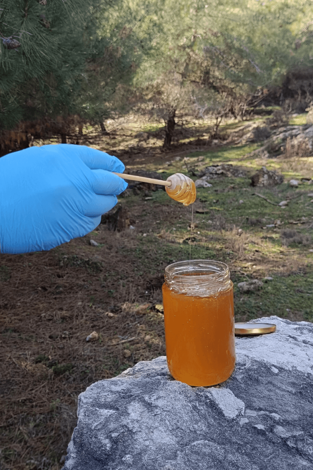 KEKİK-GEVEN VE ÇİÇEK BALI