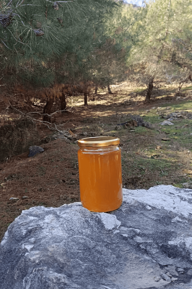 KEKİK-GEVEN VE ÇİÇEK BALI